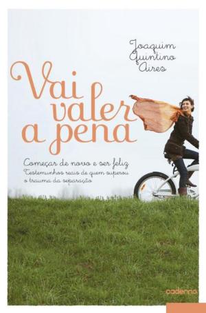 Cover of the book Vai Valer a Pena by Matt J. McKinnon