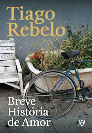 Cover of the book Breve História de Amor by Simona Ahmstedt