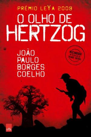 Book cover of O Olho de Hertzog