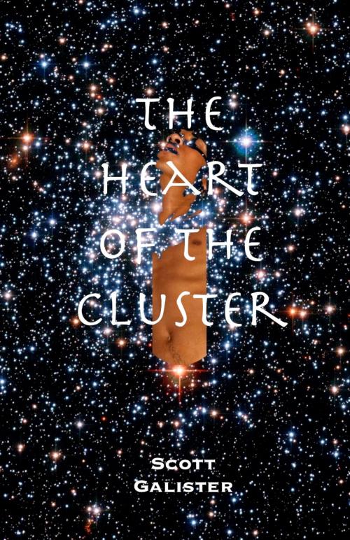 Cover of the book The Heart of the Cluster by Scott Galister, Scott Galister