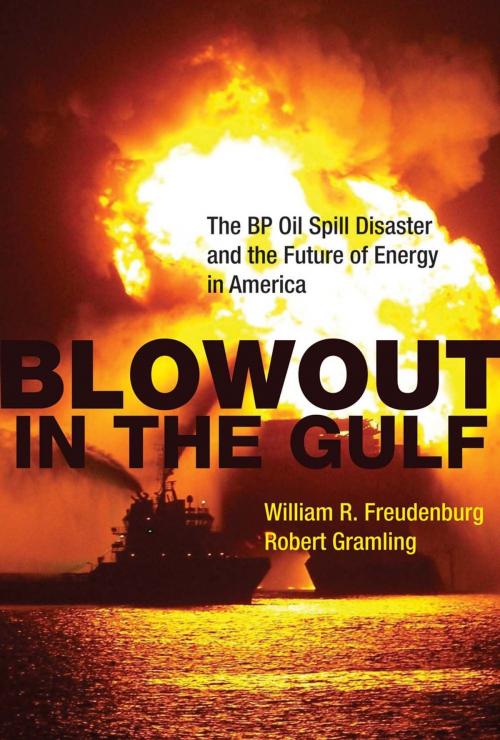 Cover of the book Blowout in the Gulf by William R. Freudenburg, Robert Gramling, The MIT Press