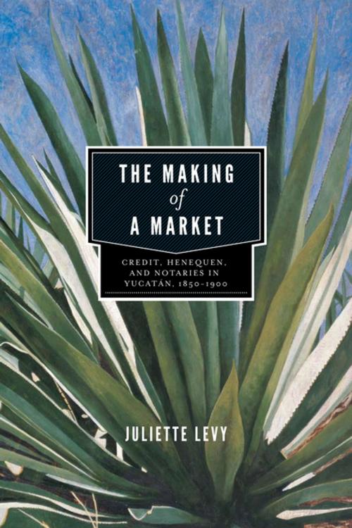 Cover of the book The Making of a Market by Juliette Levy, Penn State University Press