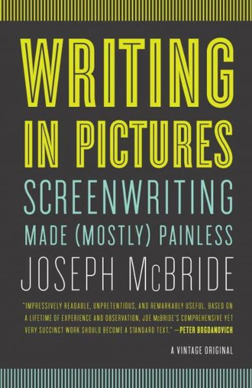 Cover of the book Writing in Pictures by Joseph McBride, Knopf Doubleday Publishing Group