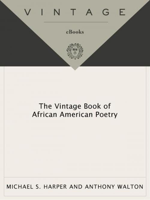 Cover of the book The Vintage Book of African American Poetry by , Knopf Doubleday Publishing Group