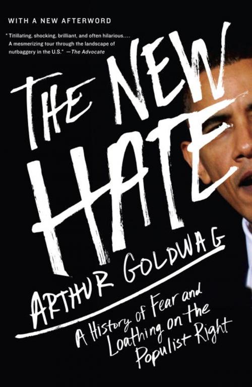 Cover of the book The New Hate by Arthur Goldwag, Knopf Doubleday Publishing Group