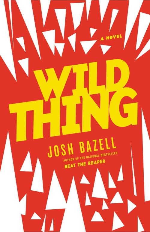 Cover of the book Wild Thing by Josh Bazell, Little, Brown and Company