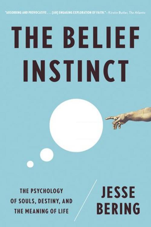 Cover of the book The Belief Instinct: The Psychology of Souls, Destiny, and the Meaning of Life by Jesse Bering, W. W. Norton & Company