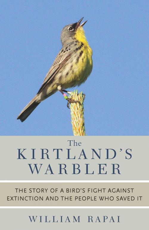 Cover of the book The Kirtland's Warbler by William Rapai, University of Michigan Press
