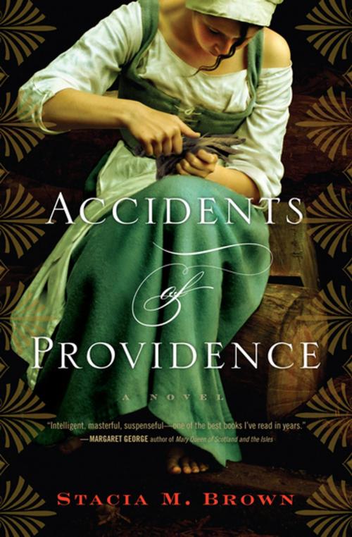Cover of the book Accidents of Providence by Stacia M. Brown, Houghton Mifflin Harcourt