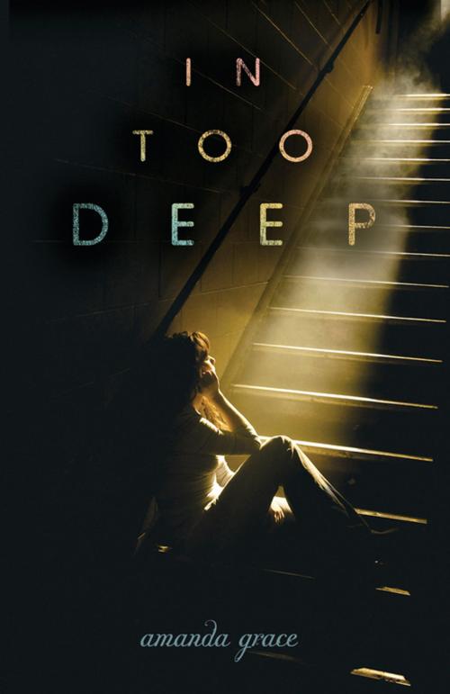 Cover of the book In Too Deep by Amanda Grace, North Star Editions