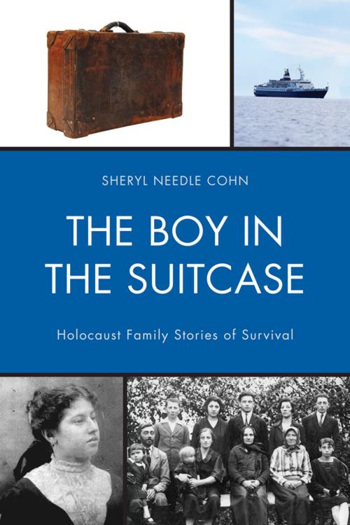 Cover of the book The Boy in the Suitcase by Sheryl Needle Cohn, Hamilton Books