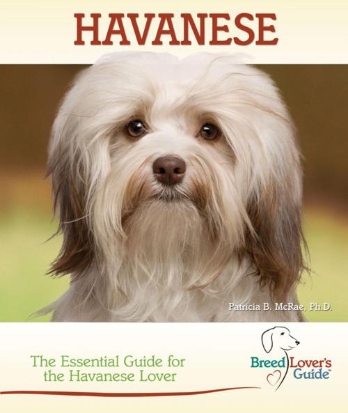 Cover of the book Havanese by Patricia B. McRae, Ph.D., TFH Publications, Inc.