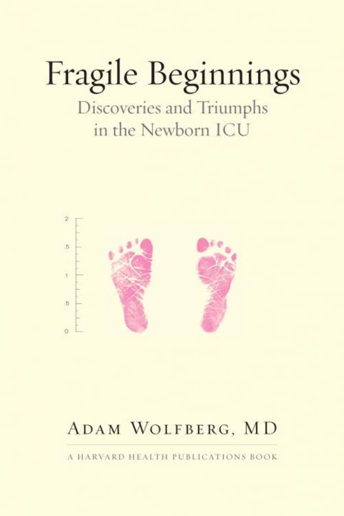Cover of the book Fragile Beginnings by Adam Wolfberg, MD, Beacon Press