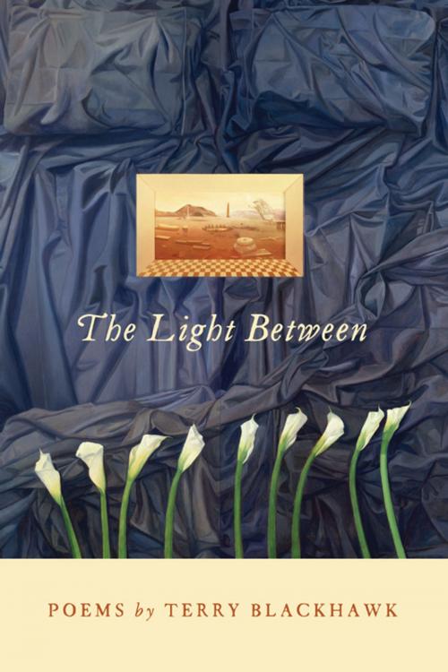 Cover of the book The Light Between by Terry Blackhawk, Wayne State University Press
