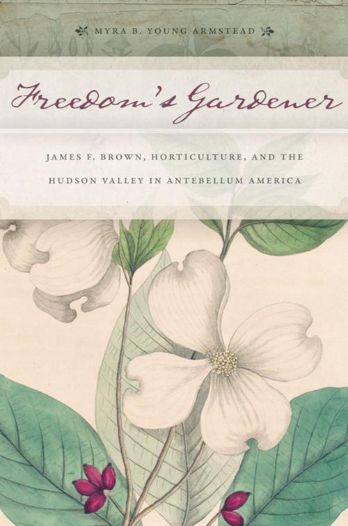 Cover of the book Freedom’s Gardener by Myra B. Young Armstead, NYU Press