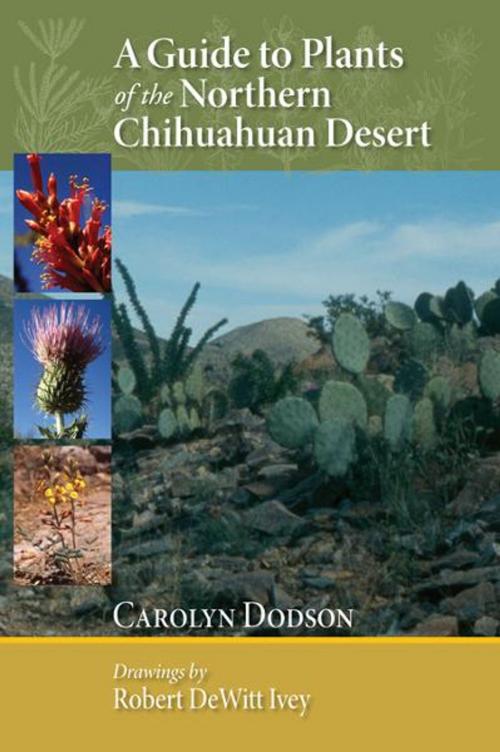 Cover of the book A Guide to Plants of the Northern Chihuahuan Desert by Carolyn Dodson, Robert DeWitt Ivey, University of New Mexico Press