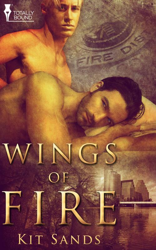 Cover of the book Wings of Fire by Kit Sands, Totally Entwined Group Ltd