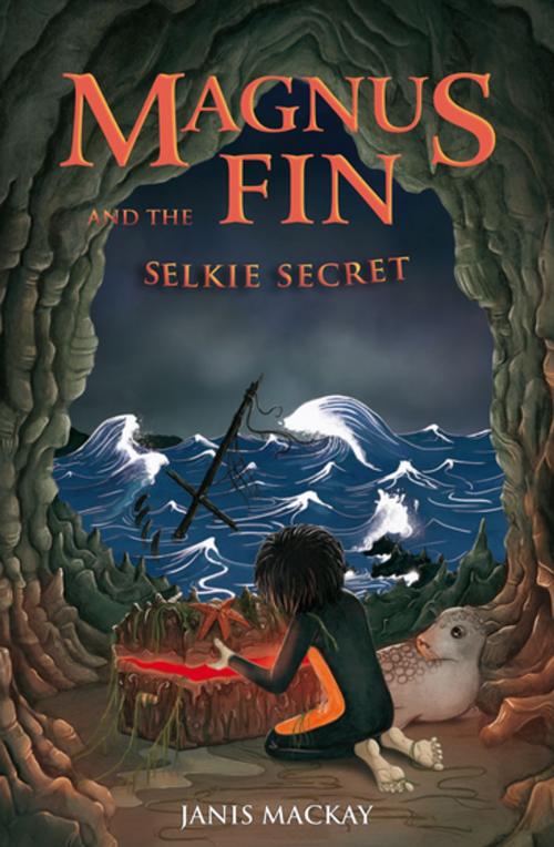 Cover of the book Magnus Fin and the Selkie Secret by Janis Mackay, Floris Books
