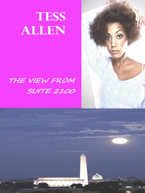 Cover of the book The View from Suite 2100 by Tess Allen, Tess Allen
