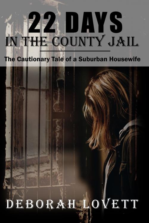 Cover of the book 22 Days in the County Jail by Deborah Lovett, Deborah Lovett