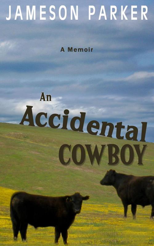 Cover of the book An Accidental Cowboy by Jameson Parker, Jameson Parker