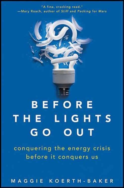 Cover of the book Before the Lights Go Out by Maggie Koerth-Baker, Turner Publishing Company