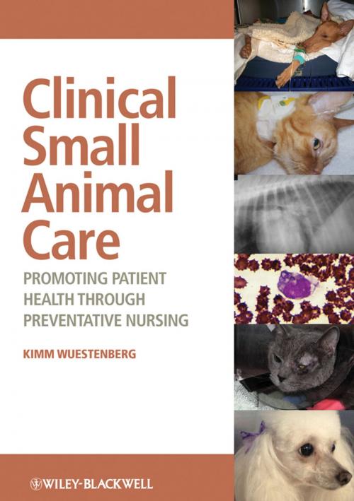 Cover of the book Clinical Small Animal Care by Kimm Wuestenberg, Wiley