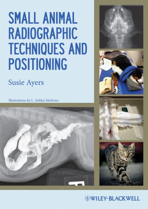 Cover of the book Small Animal Radiographic Techniques and Positioning by Susie Ayers, Wiley