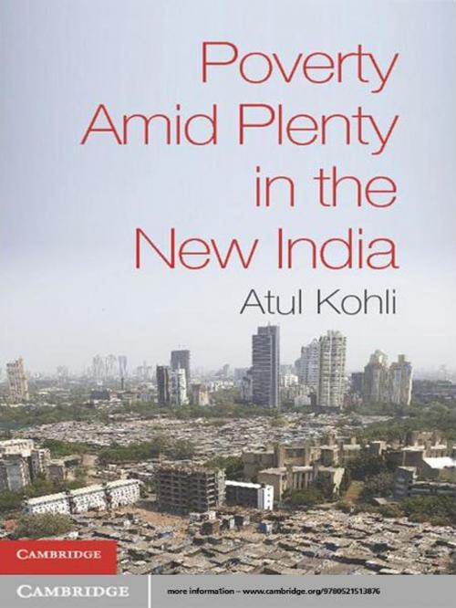Cover of the book Poverty amid Plenty in the New India by Atul Kohli, Cambridge University Press