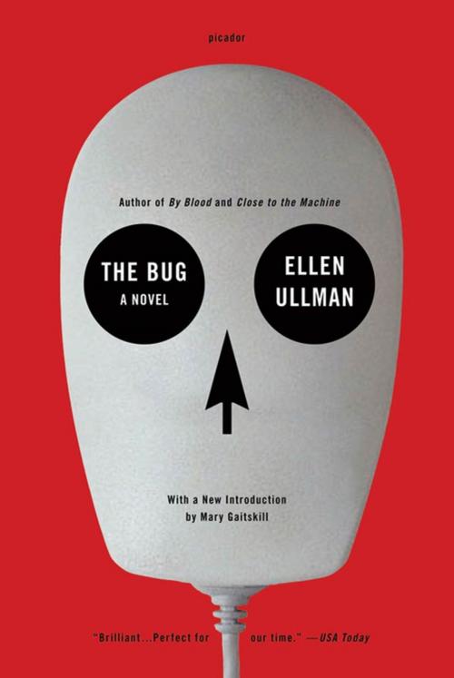 Cover of the book The Bug by Ellen Ullman, Picador
