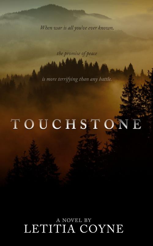 Cover of the book Touchstone by Letitia Coyne, 1889 Labs