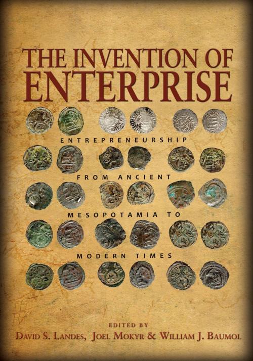 Cover of the book The Invention of Enterprise by , Princeton University Press