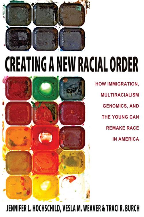 Cover of the book Creating a New Racial Order by Jennifer L. Hochschild, Vesla M. Weaver, Traci R. Burch, Princeton University Press