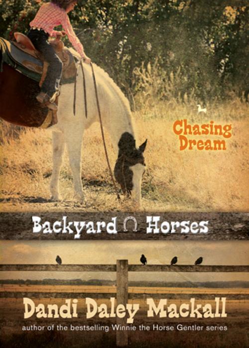 Cover of the book Chasing Dream by Dandi Daley Mackall, Tyndale House Publishers, Inc.