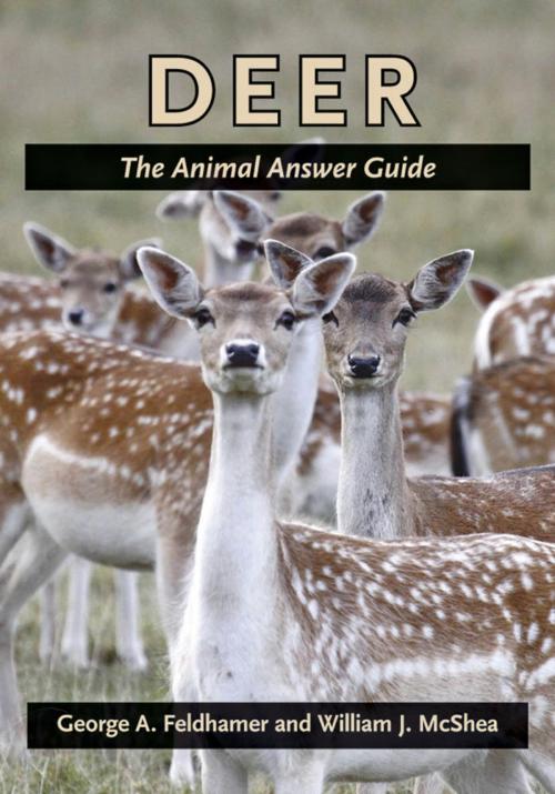 Cover of the book Deer by George A. Feldhamer, William J. McShea, Johns Hopkins University Press