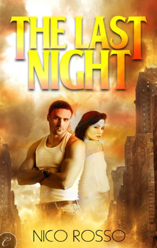 Cover of the book The Last Night by Nico Rosso, Carina Press