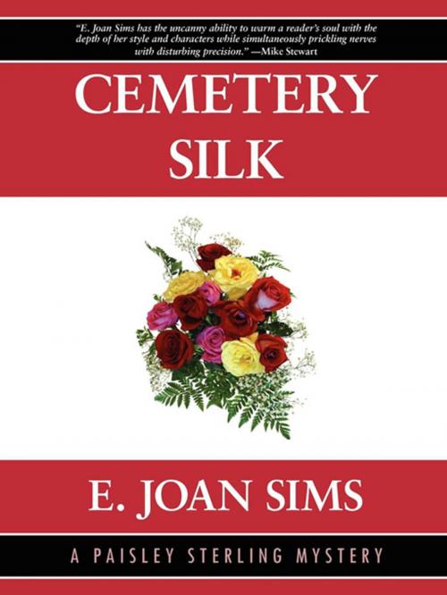 Cover of the book Cemetery Silk: A Paisley Sterling Mystery #1 by E. Joan Sims, Wildside Press LLC