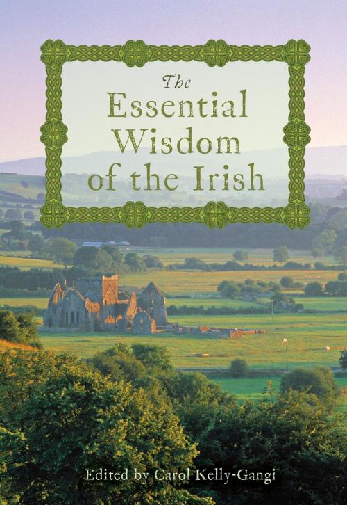 Cover of the book The Essential Wisdom of the Irish by , Fall River Press