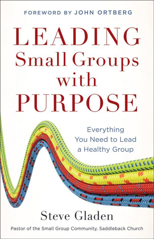 Cover of the book Leading Small Groups with Purpose by Steve Gladen, Baker Publishing Group