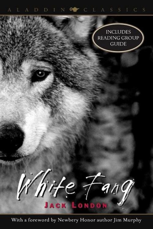 Cover of the book White Fang by Jack London, Aladdin