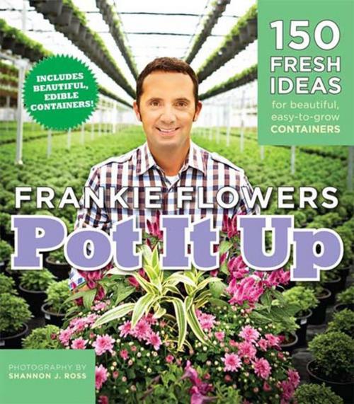 Cover of the book Pot It Up by Frankie Flowers, Collins