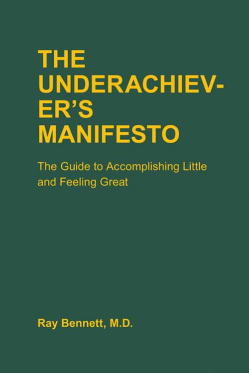 Cover of the book The Underachiever's Manifesto by Ray Bennett, Chronicle Books LLC