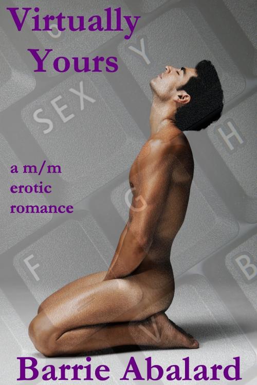 Cover of the book Virtually Yours A M/M Erotic Romance by Barrie Abalard, Barrie Abalard