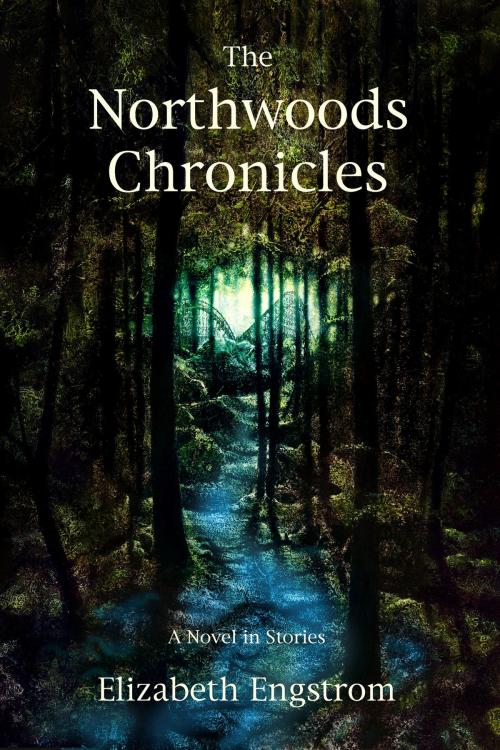 Cover of the book The Northwoods Chronicles: A Novel in Short Stories by Elizabeth Engstrom, Imagination Fully Dilated Publishing