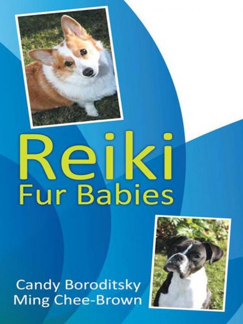 Cover of the book Reiki Fur Babies by Candy Boroditsky, Ming Chee-Brown, Balboa Press