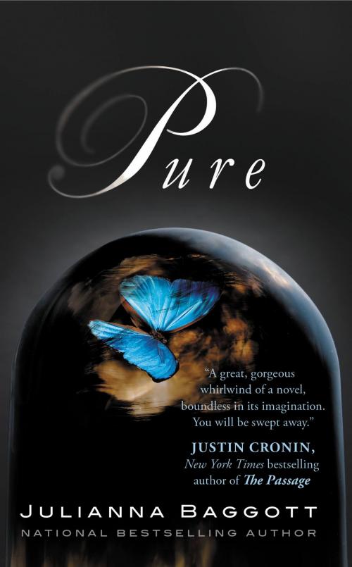 Cover of the book Pure by Julianna Baggott, Grand Central Publishing