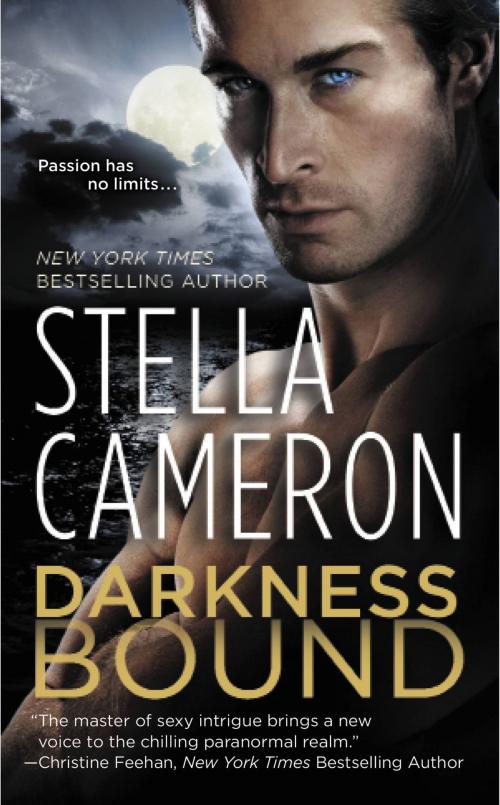 Cover of the book Darkness Bound by Stella Cameron, Grand Central Publishing