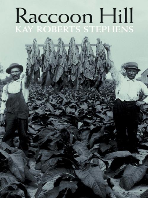 Cover of the book Raccoon Hill by Kay Roberts Stephens, Abbott Press