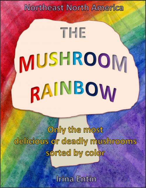 Cover of the book The Mushroom Rainbow by Irina Entin, Irina Entin