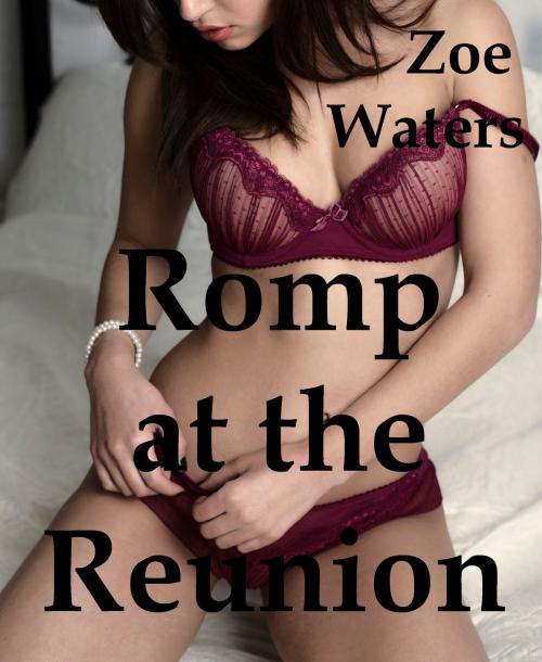 Cover of the book Romp at the Reunion by Zoe Waters, Zoe Waters